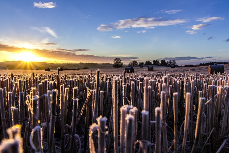 Frost-covered Field at Sunrise — Blue, Serene, Photograph, Hay Bales