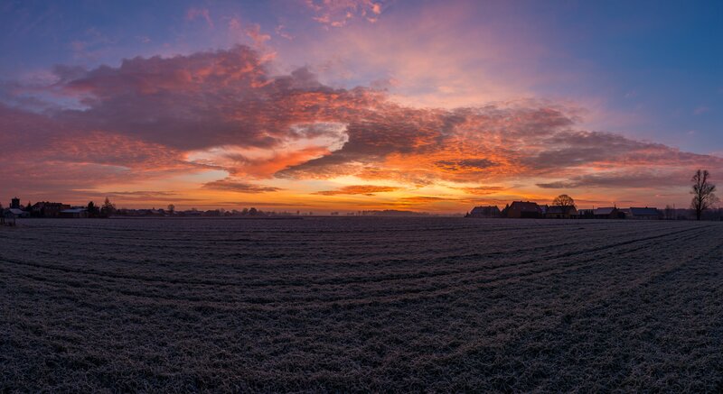 Frost-covered Field at Sunrise — Orange, Dramatic