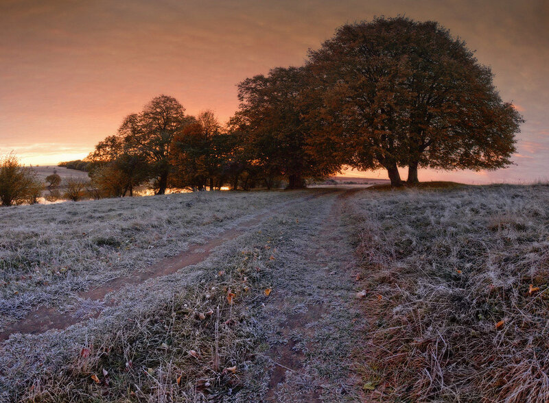 Frost-covered Field at Sunrise — Orange, Serene