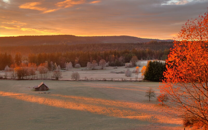 Frost-covered Field at Sunrise — Orange