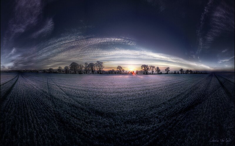 Frost-covered Field at Sunrise — Purple
