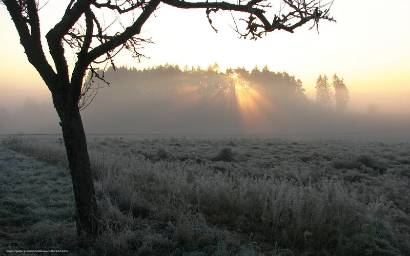 Frost-covered Field at Sunrise — White, Serene