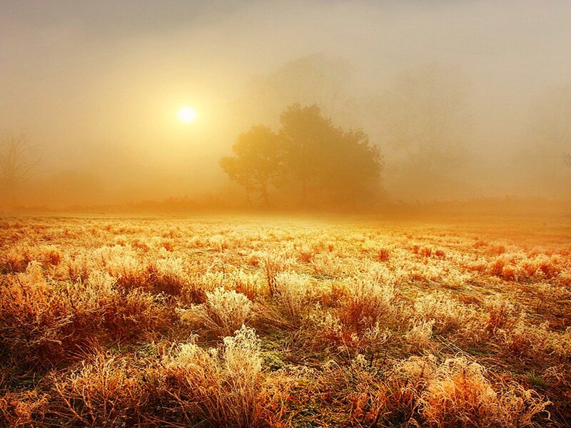 Frost-covered Field at Sunrise — Yellow, Serene