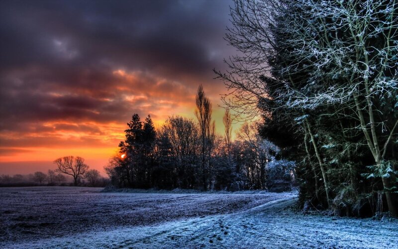 Frost-covered Field at Sunset — Orange