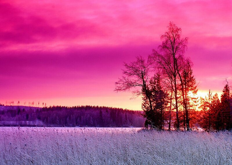 Frost-covered Field at Sunset