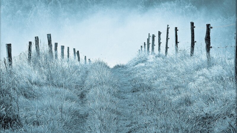 Frost-covered Field — Blue, Cold