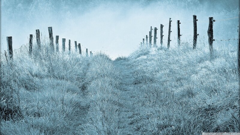 Frost-covered Field — Blue, Cold, Winter