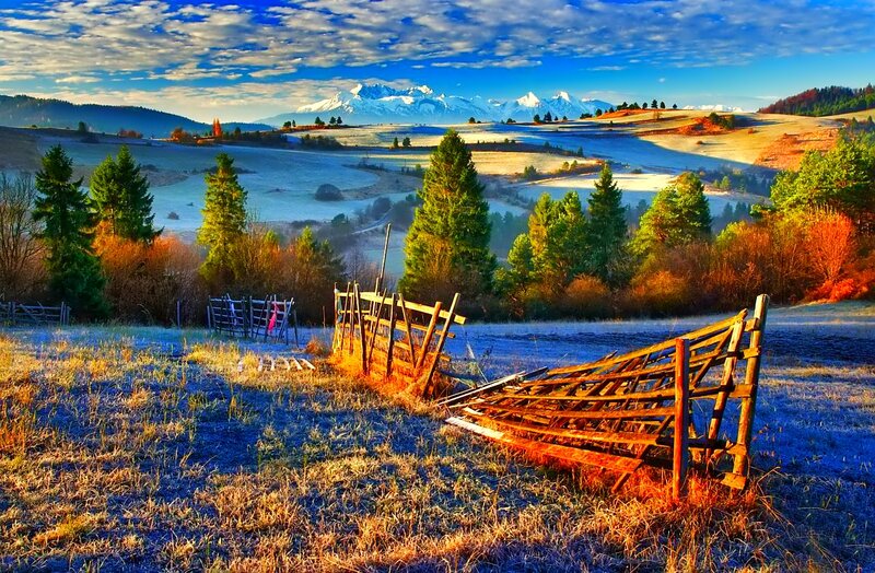 Frost-covered Field — Blue, Serene, Morning