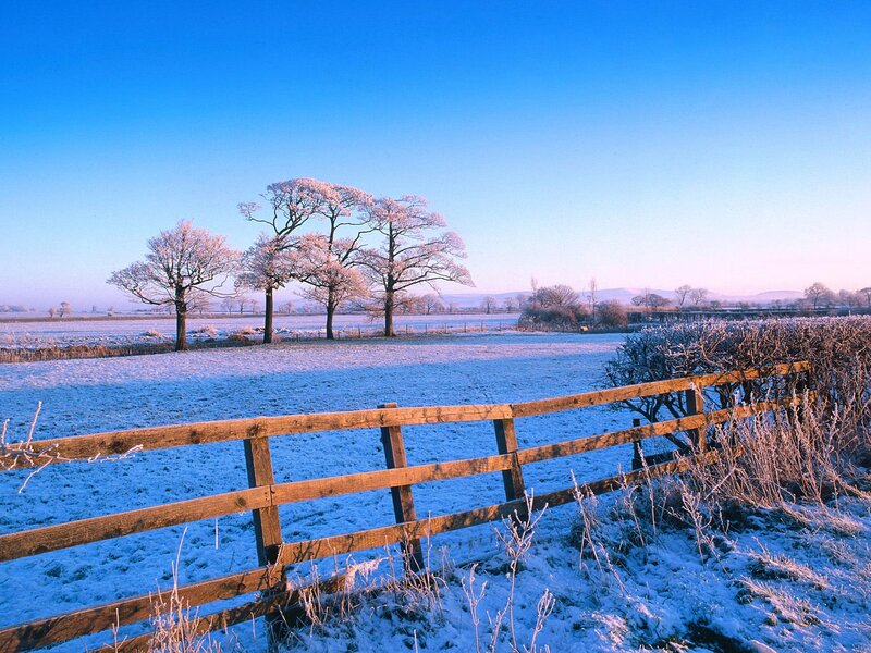 Frost-covered Field — Blue, Serene