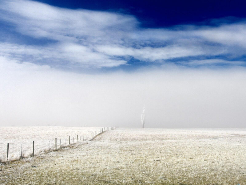 Frost-covered Field — Blue, Serene, Winter, Photograph