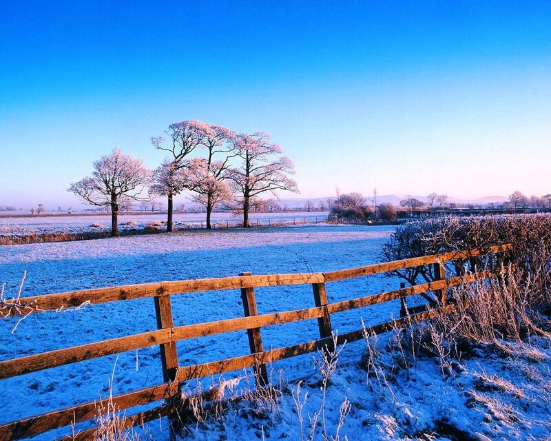 Frost-covered Field — Blue, Serene, Winter, Photograph, Trees, Fence, Hedge