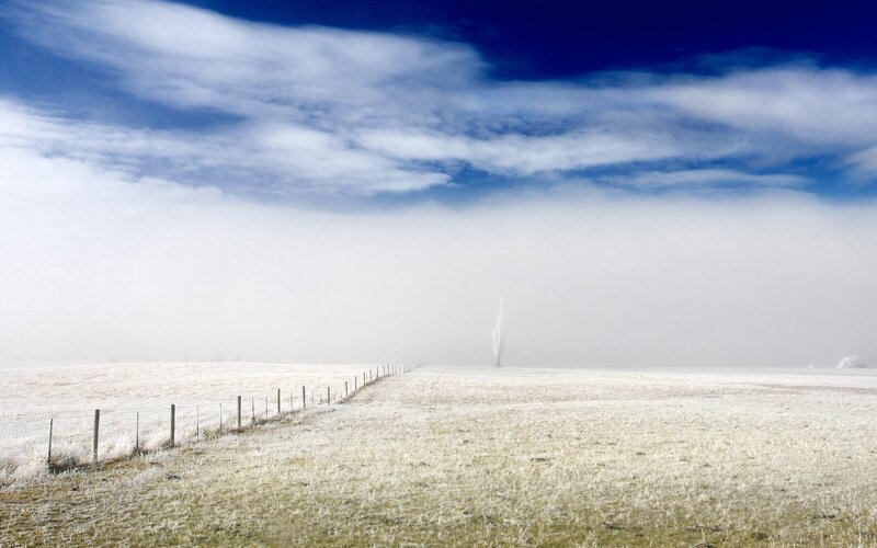 Frost-covered Field — Blue, Serene, Winter