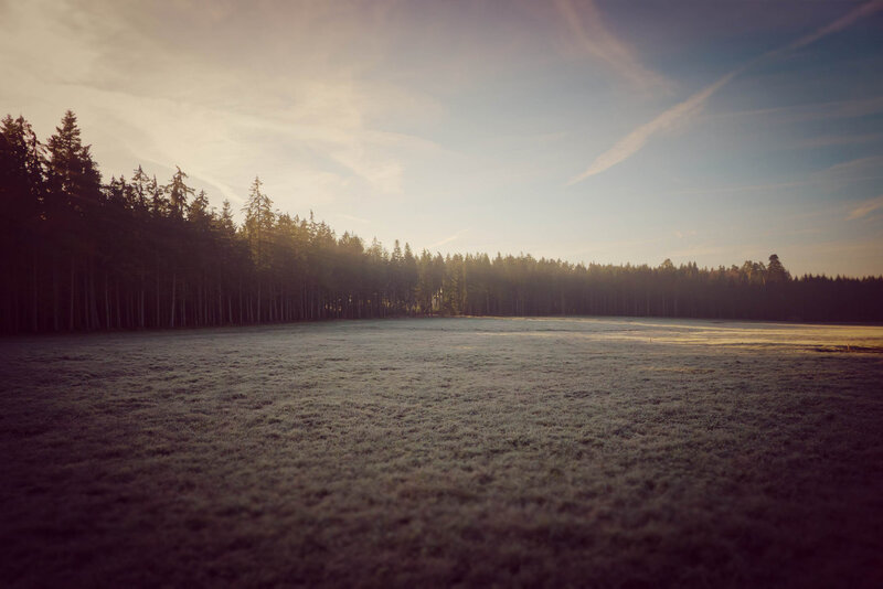 Frost-covered Field — Green, Serene