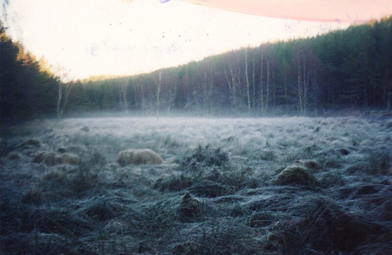 Frost-covered Field — Green