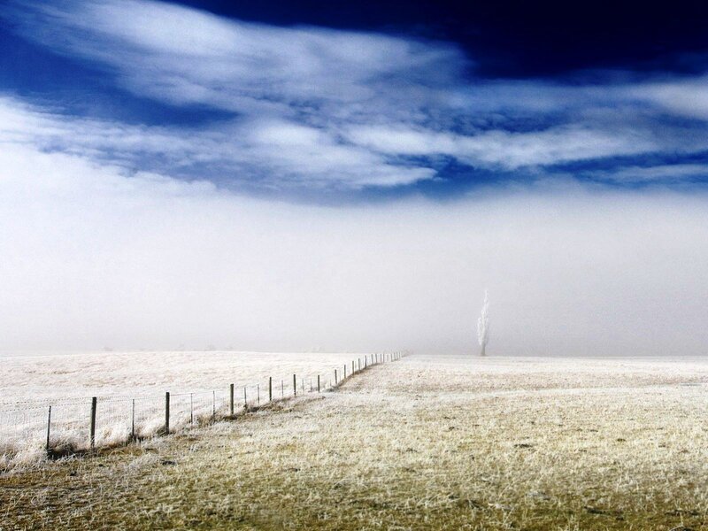Frost-covered Field