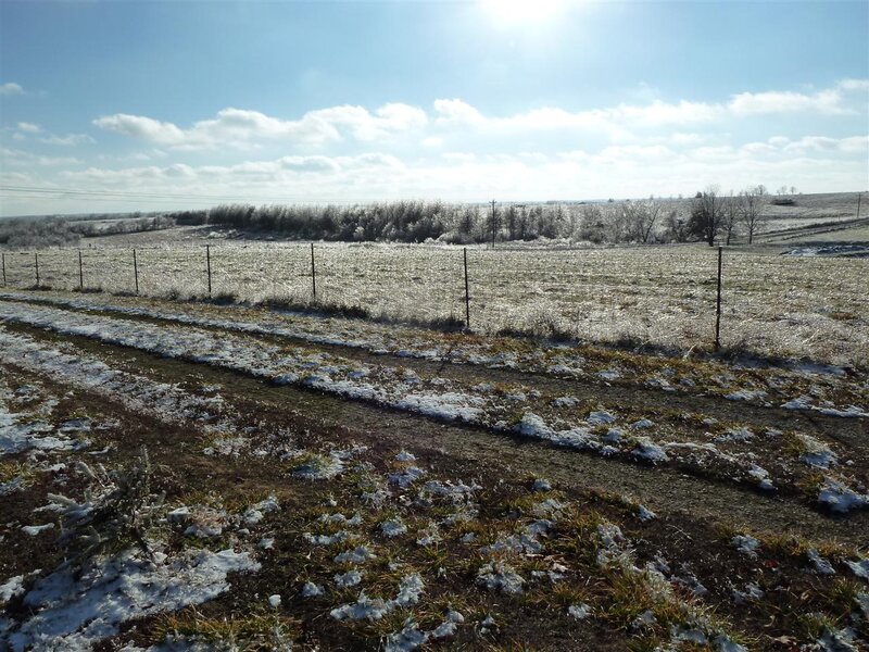 Frost-covered Field — White, Cold