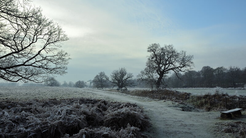 Frost-covered Field — White, Cold, Winter