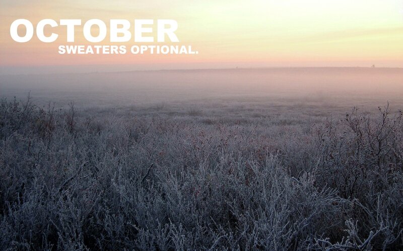 Frost-covered Field — White, Serene, Autumn