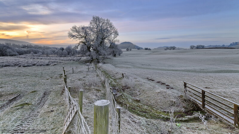 Frost-covered Field — White, Serene, Winter, Photograph