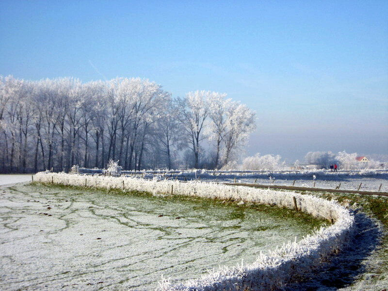 Frost-covered Field — White