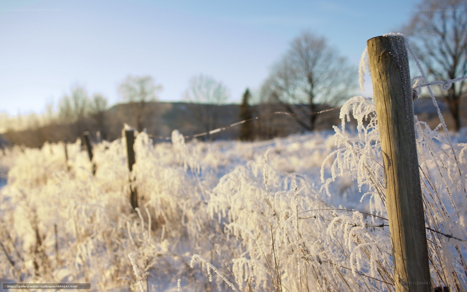 Frost-covered field with fence