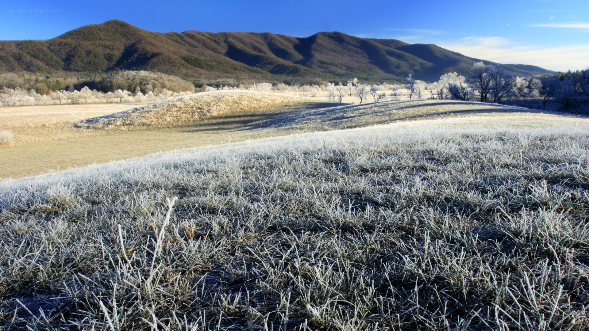 Frost-covered field with mountains
