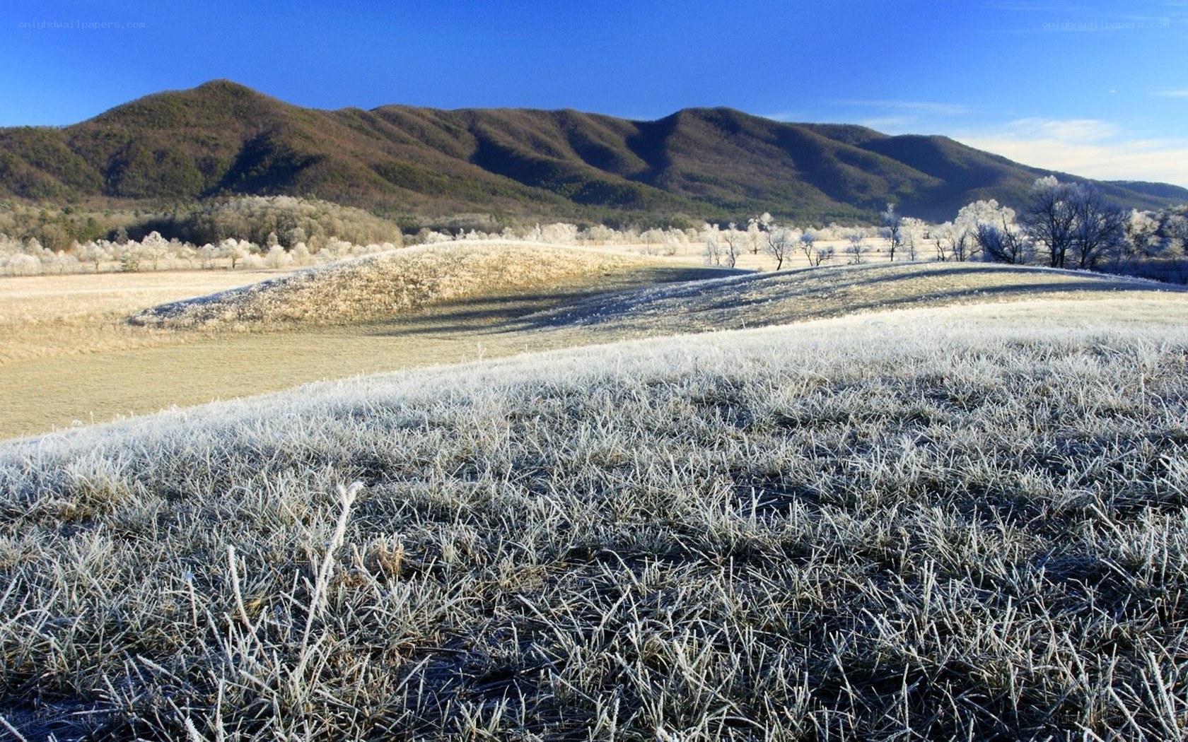 Frost-covered field with mountains