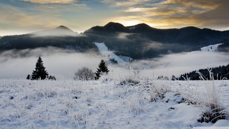 Frost-covered Field with Mountains — White