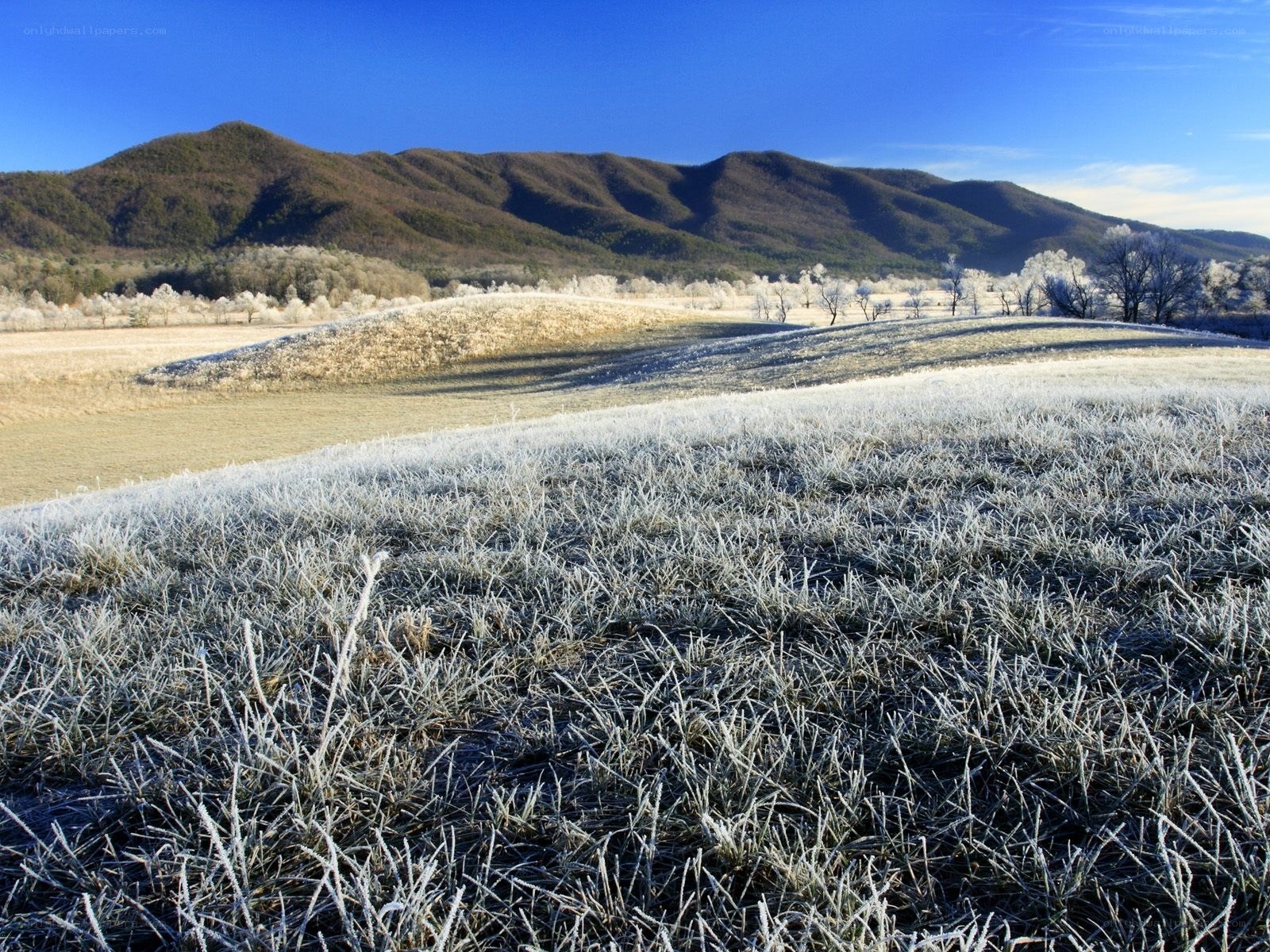 Frost-covered field with mountains