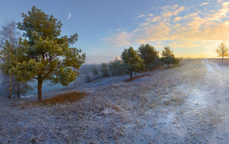 Frost-covered Field with Trees