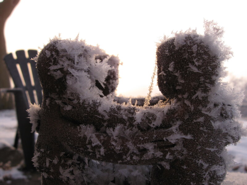 frost-covered figures in embrace