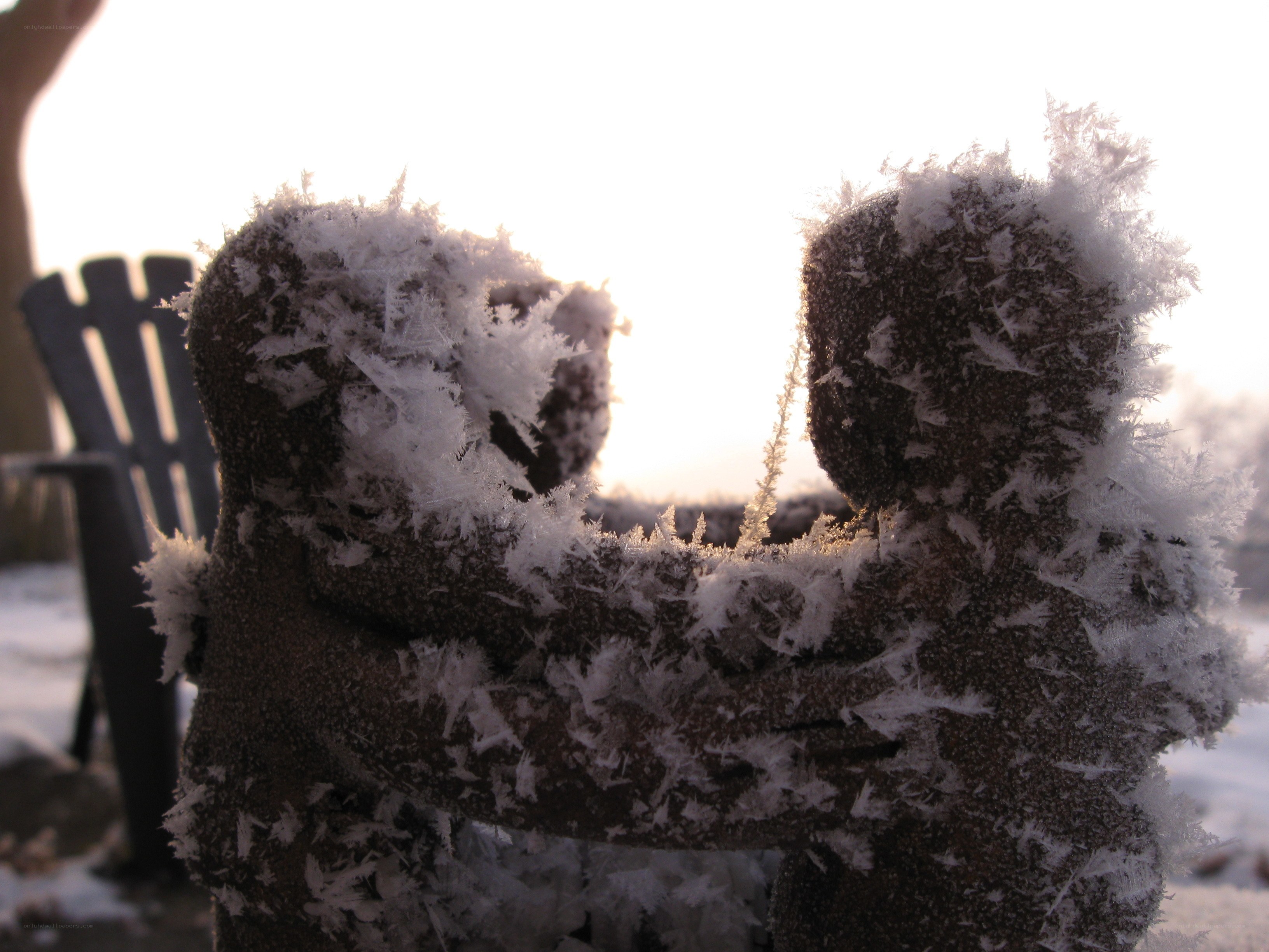 frost-covered figures in embrace