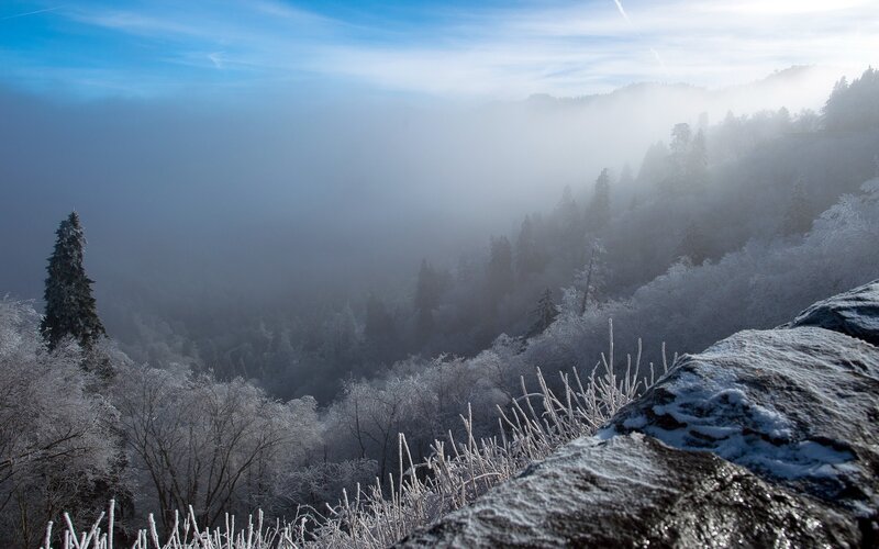 Frost-covered Forest Valley — Blue