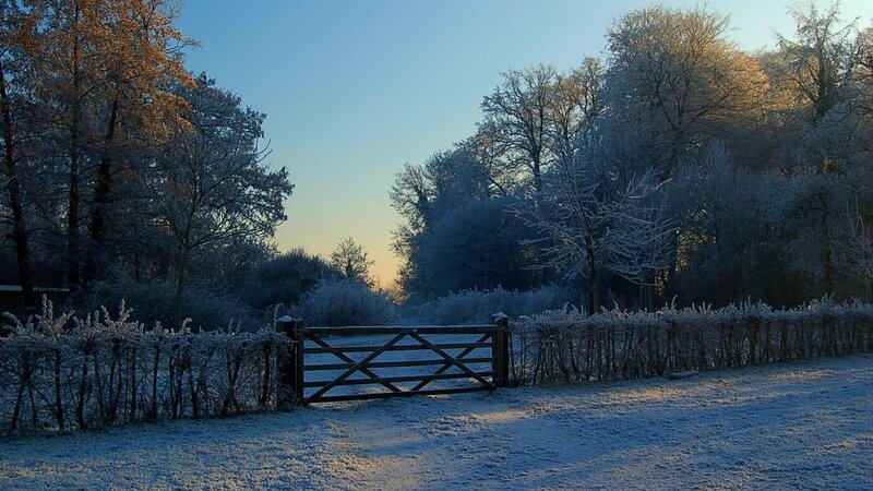 Frost-covered Gate — Blue