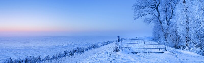 Frost-covered Gate