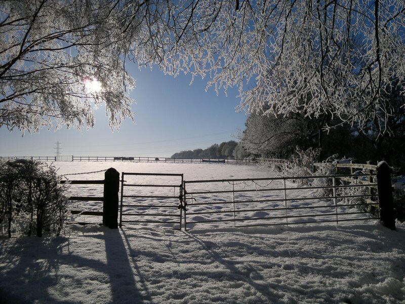Frost-covered Gate — White
