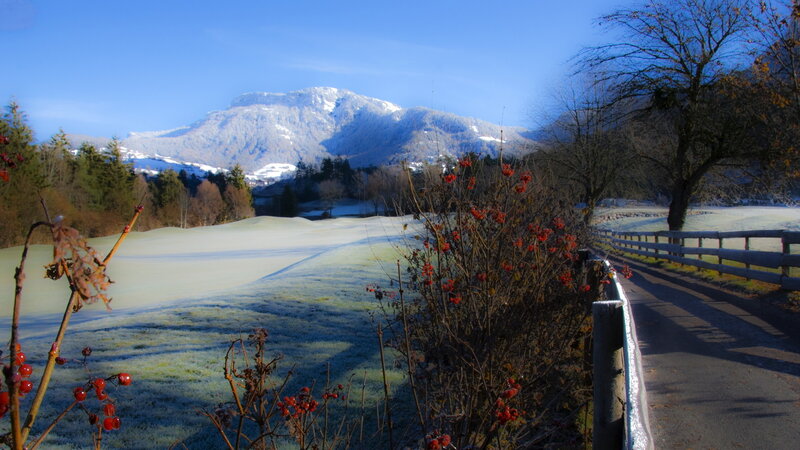 Frost-covered Golf Course