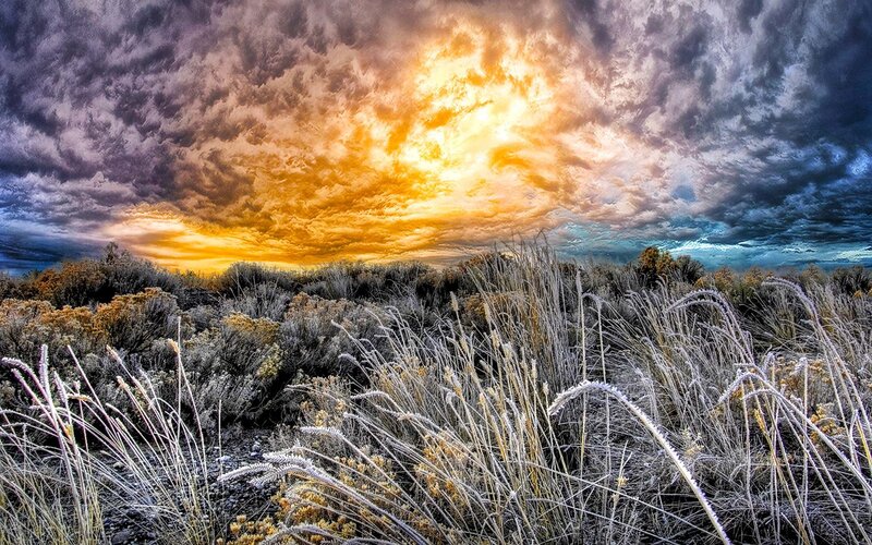 Frost-covered Grass at Sunrise — Yellow