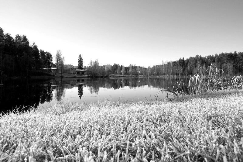 Frost-covered Grass by Lake — Black