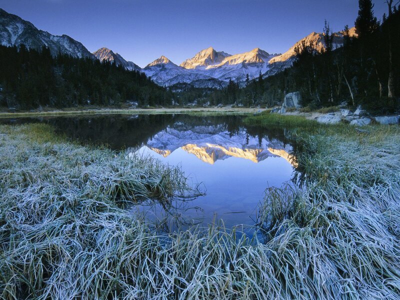 Frost-covered Grass by Lake
