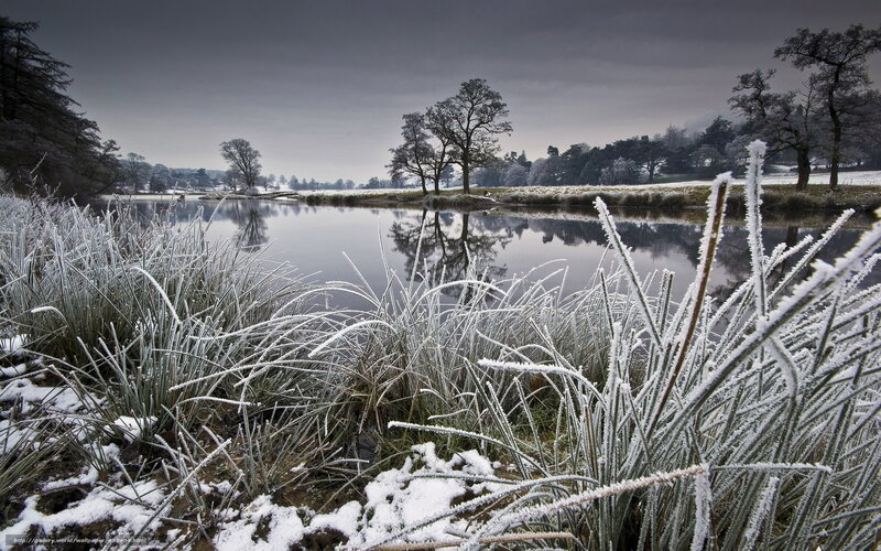 Frost-covered Grass by Lake — White