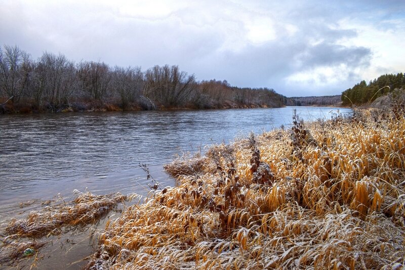 Frost-covered Grass by River — Brown