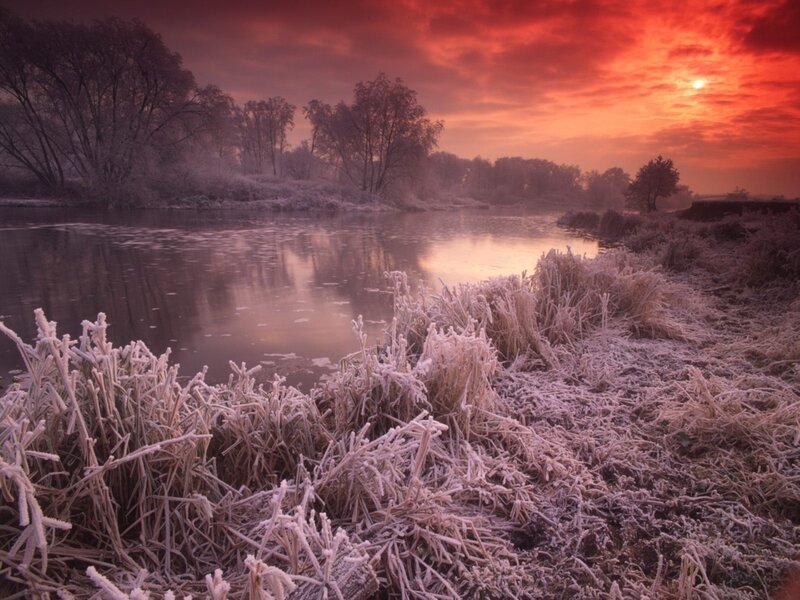 Frost-covered Grass by River — Red, Dramatic