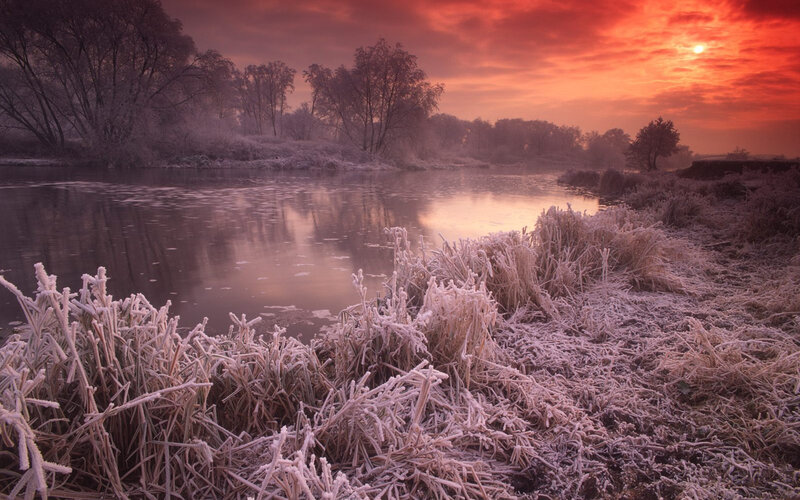 Frost-covered Grass by River