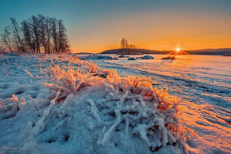 Frost-covered Grass in Snow — Orange