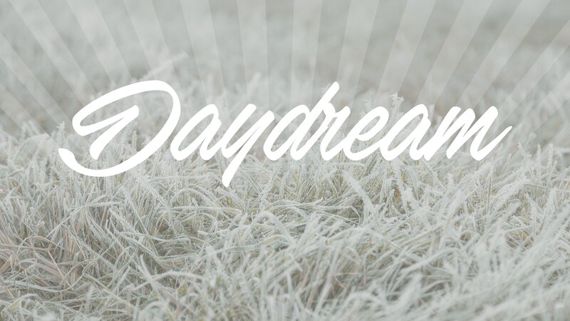 Frost-covered Grass — White, Calm, Winter, Photograph, Frost, Text