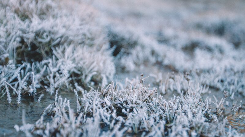 Frost-covered Grass — White, Cold, Winter, Photograph, Frost, Ice