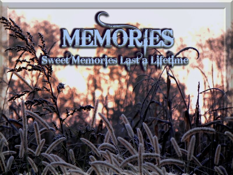 Frost-covered Grass — White, Serene
