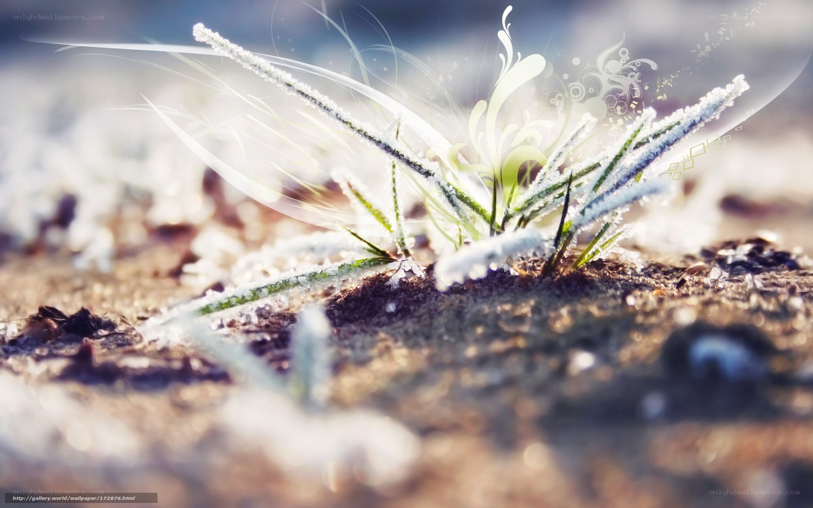 Frost-covered grass with artistic effects