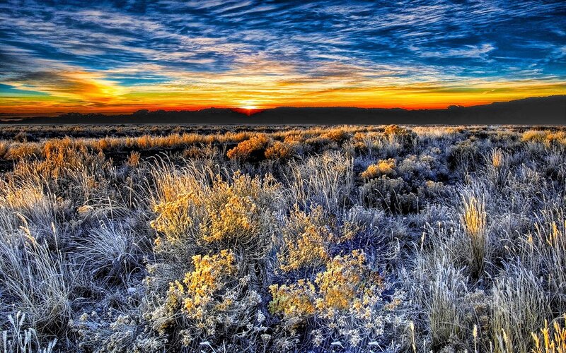 Frost-covered Grassland